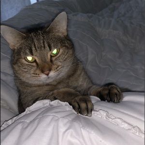 Meet your Posher, Sammy